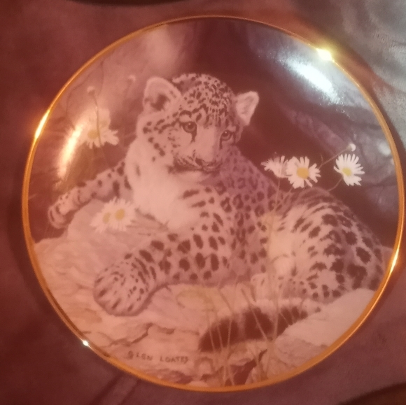 Everything - Picture 4 of 10